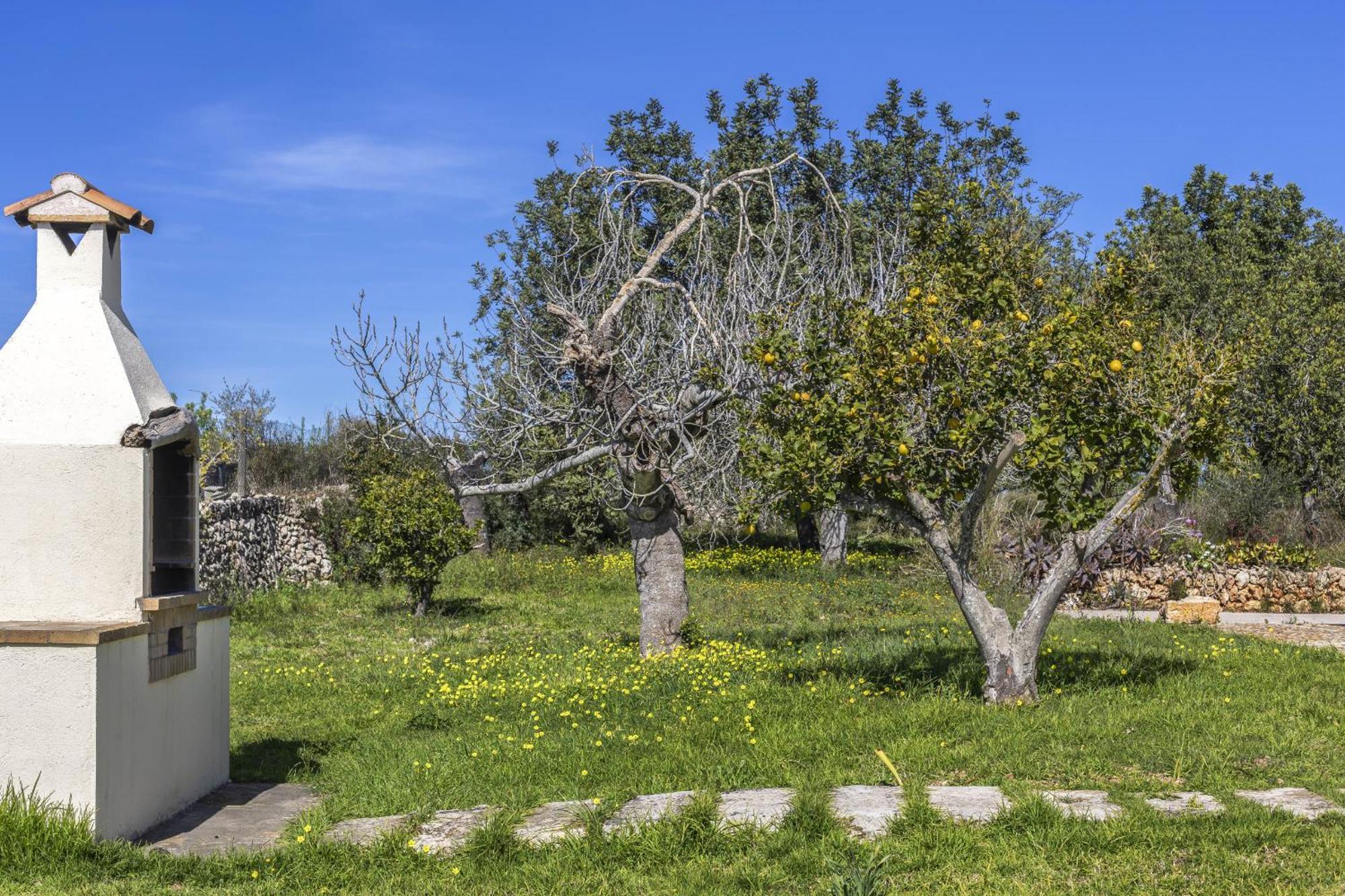 סנטה מרגלידה Finca Sa Torreta מראה חיצוני תמונה